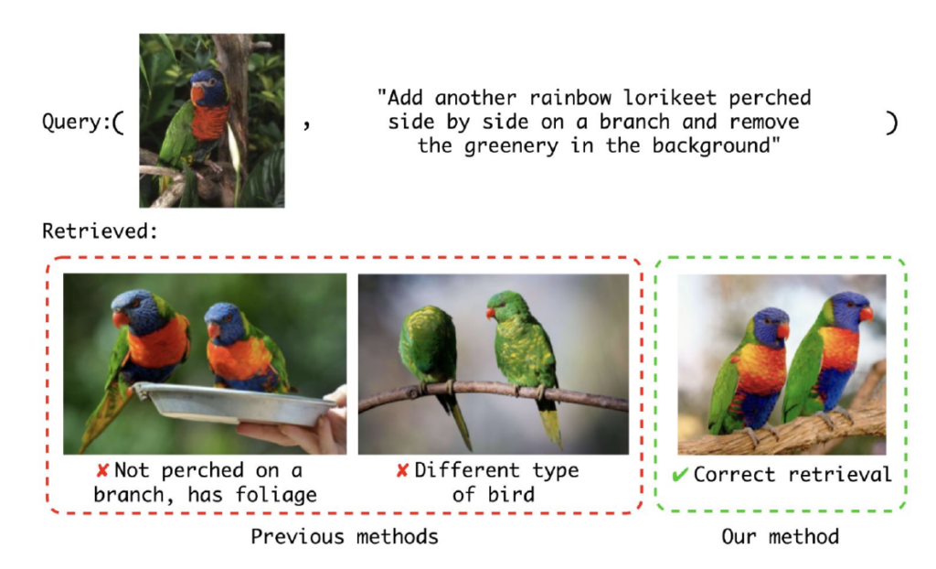 Colorful birds known as rainbow lorikeets sit perched on a branch.